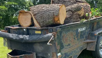 Tree Removal for Gray’s Tree Service Inc in Maurertown, VA