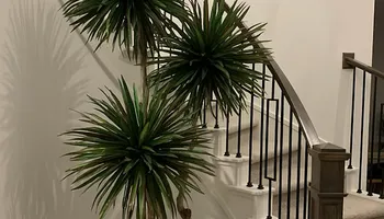 New Construction for Celebrity Interior Solutions in Houston, TX
