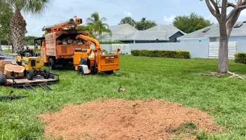 Tree Trimming for Sam's Tree Service in Miami Beach,  FL