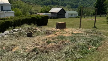 Tree Removal for Precision Cutz Tree Services, LLC in Coeburn, VA