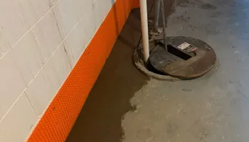 Concrete Driveway Replacement for Deerbrook Construction in Pontiac, MI