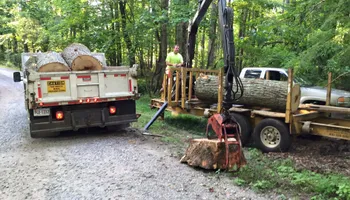 Tree Removal for Smith Tree Experts in Palmyra, VA