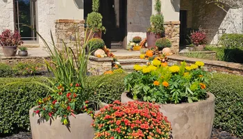 Mowing for Bruno's Professional Lawn's & Landscape in Beaumont, TX