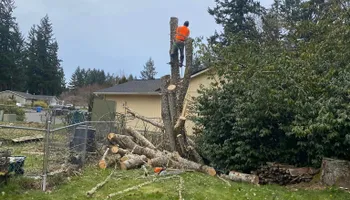 Fall Clean Up for Juan Esteban Landscape service LLC  in Bonney Lake, WA