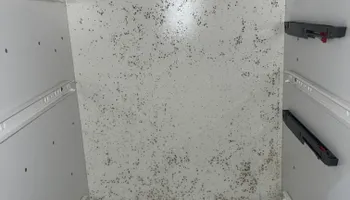 Water Mitigation for N&D Restoration Services When Disaster Attacks, We Come In in Cape Coral,  FL