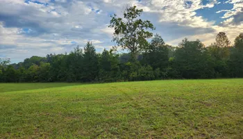 Land Clearing for Mark Howard & Sons Logging & Excavating in Athens, TN