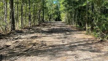 Land Clearing for Cortez Construction SC, LLC in Conway, SC
