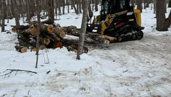 Land Clearing for Northern Summit Landworks in Little Falls, MN