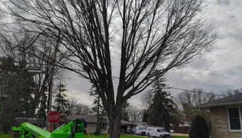 Tree Removal for Big River lawn Care services and snow LLC in Wausau, WI
