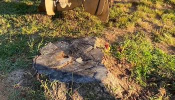 Household Junk Removal for Junk B Gone in Rougemont, NC