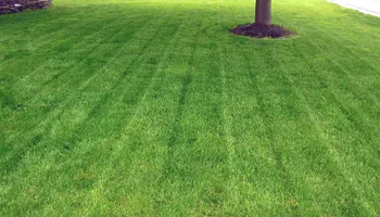 Flower Bed Design for Coastline Gardening in Clinton, CT