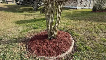 Fall Clean Up for Kramer & Son’s Property Maintenance in Hudson, FL