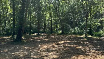 Land Clearing for Miller Farms Hay & Land Management in Knoxville, TN