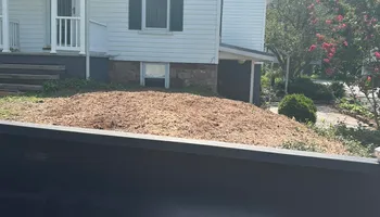 Stump Removal for Mad Dust Stump Grinding in Howard County, MD