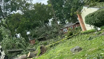 Tree Removal for DGD Outdoor Services LLC in Howell, MI