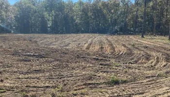Dirt Work for Rogers Land Services in Hawkinsville, GA