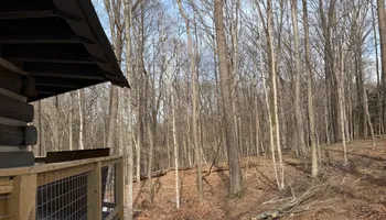 Tree Removal for Kadin’s Tree Service in North Vernon, IN