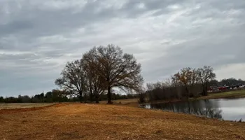 Land Clearing for Hunt’s Hauling & Landworks LLC in Danville, VA