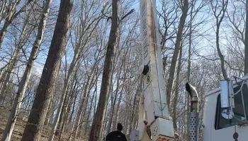 Tree Trimming & Removal for Freedom Outdoor Services in Glen Mills, PA