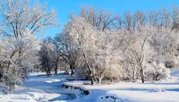 Tree Removal for Allstate Tree Service in Fridley, MN