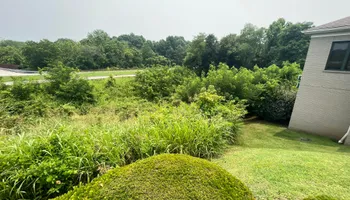 Land Clearing for Taylormade Land Service LLC in Hopkins County, KY