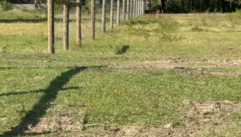Land Clearing & Demolition for Central Alabama Site Works in Selma, AL