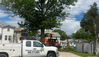 Tree Removal for Etherton’s Tree Service in Quinton, NJ