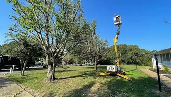 Tree Removal for Ross Family Tree Service LLC  in Hohenwald, TN
