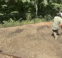 Landscape Design for Olmedo Home Services in Davie County, NC