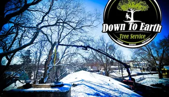 Tree Removal for Down To Earth Tree Service in Red Wing,  Minnesota