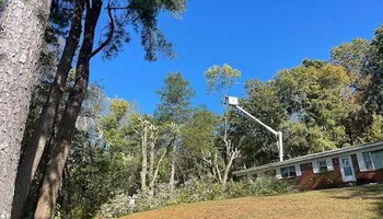 Tree Removal for Ross Family Tree Service LLC  in Hohenwald, TN