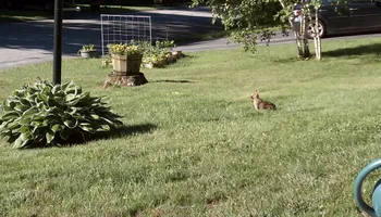 Bathroom Remodeling for LCO-GREEN Home Remodeling & Landscaping in Boston, MA