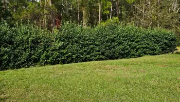 Lawn Care & Maintenance for Above the Lawn Cuts in Sebring, FL