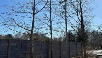 Tree Removal for Silver City Tree Service in Taunton, MA