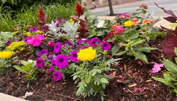 Commercial Maintenance/Installs for Urban Lawn & Landscape in Oklahoma City, OK