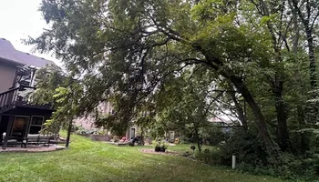 Tree Removal for Cross Family Tree Service in Kearney, MO