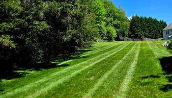 Lawn Maintenance for Johnson Lawn Services in Fredericksburg, VA