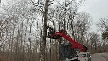 Land Clearing for West Landworks in Bean Station, TN