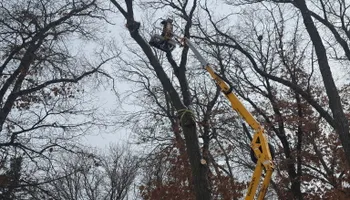 Snow Removal  for K and Z Tree Care in Isanti County, MN