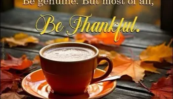 Shingle Roofing systems for KY Gutter Pro & Specialty Roofing Systems in Monticello, KY