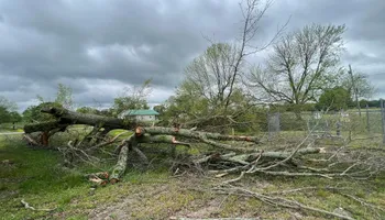 Land Clearing for Mud Creek Vegetation Management in Russellville, AL