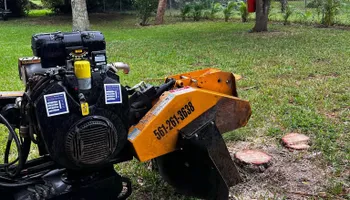 Tree Removal for Outdoor Solutions Of The Glades in Hendry County, FL