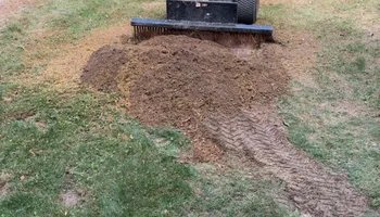 Tree Removal for Fransen's Tree Service  in Freeport, IL