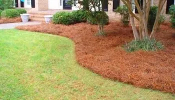 Temporary Gravel Driveways for J&A Grading Services LLC   in Benson, NC