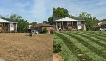 Tree Removal for Optimum Tree Service And Landscaping in Bowling Green, KY
