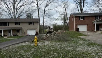 Tree Removal for Kadin’s Tree Service in North Vernon, IN