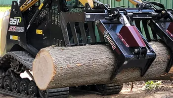 Tree Removal for DGD Outdoor Services LLC in Howell, MI