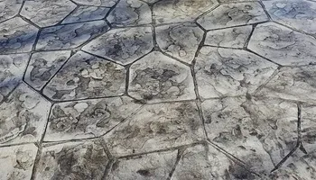 Concrete for Gemini Construction & Excavating LLC in Evans, CO