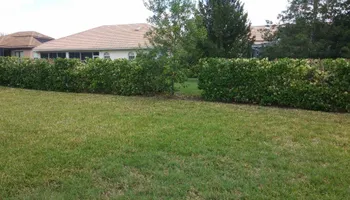 Mowing for Top Gun Lawn Care in Citrus, FL