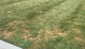 Lawn Maintenance for Dream Cuts Landscaping and Lawn Care LLC in Gastonia, NC